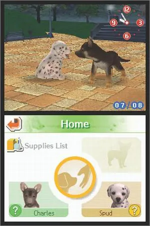 Nintendogs gameplay on Nintendo DS